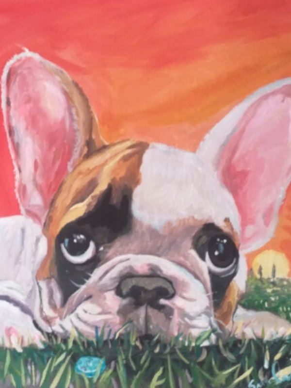 Seu melhor amigo eternizado. Telas e quadros de pets