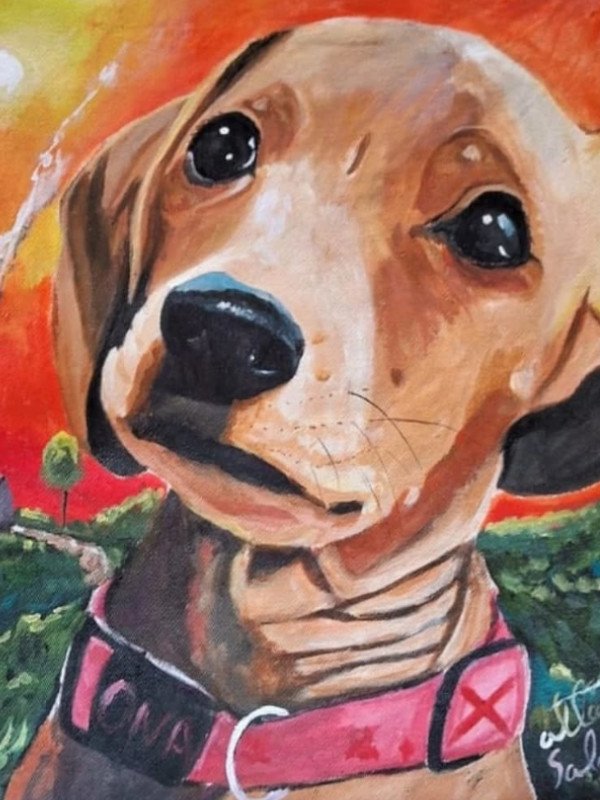 Presente para Mães e Pais de Pets