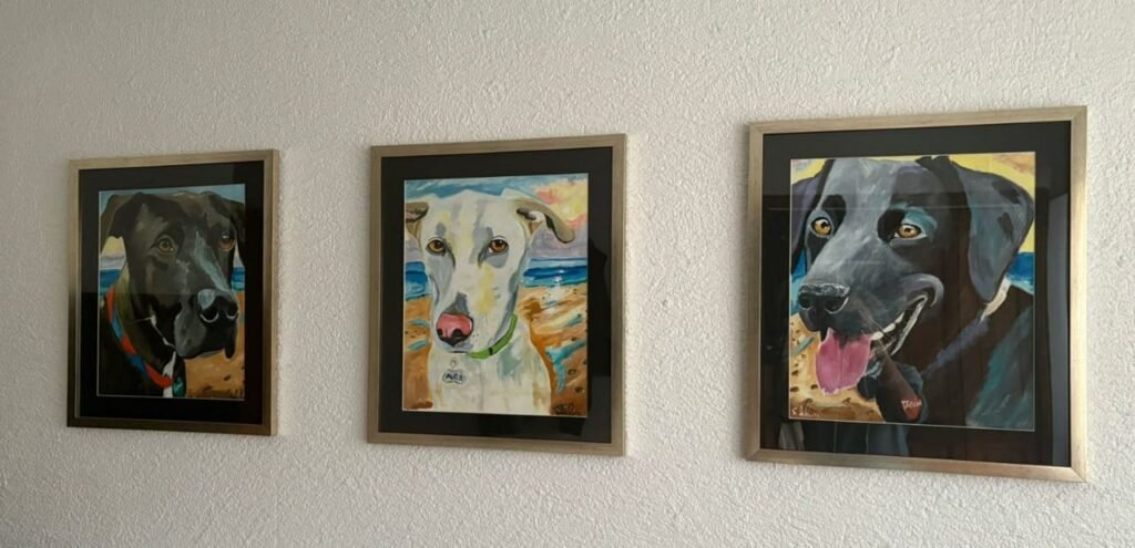 Quadros de Pets